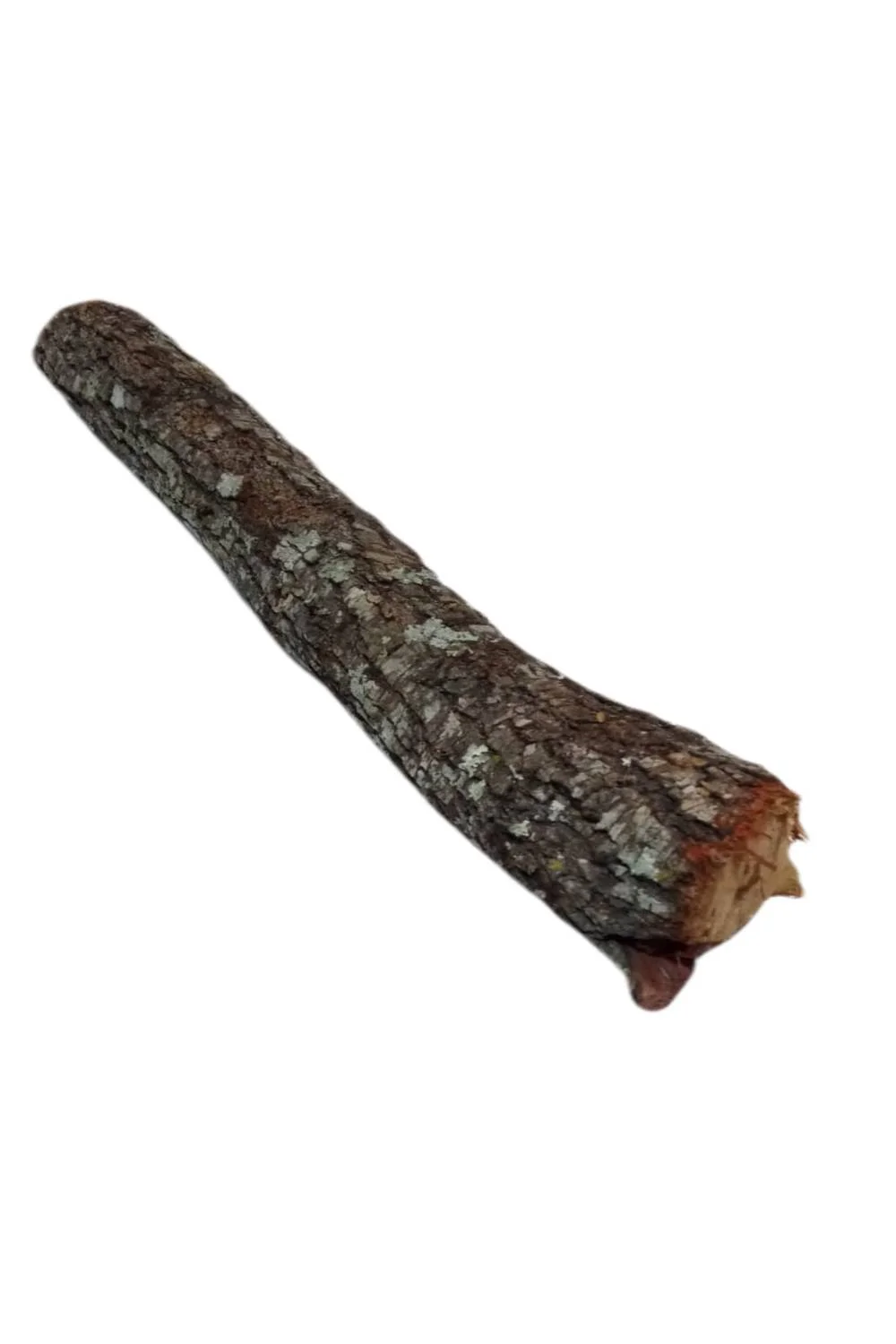 espinillo
